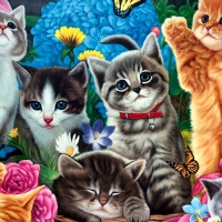 cats-flowers-artwork-beautiful-art-pet-play-cat-garden-feline-animal-butteflies-painting-photos-of-