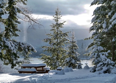 Landscape with mountain and lake in winter - lake, mountain, winter, bench, view, forest, snow, beautiful, rest