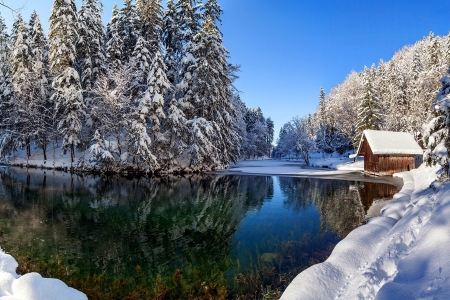 Winter River - house, forest, snow, river