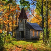 Abanded church in the Forest