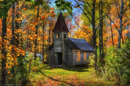 Abanded church in the Forest - forest, church, abande, autumn