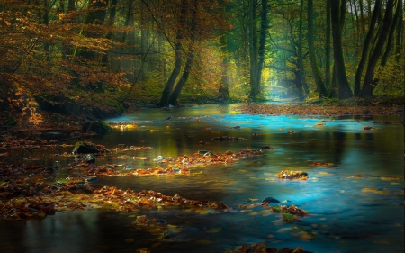 Sun Rays Creek - nature, rays, autumn, landscape, light, sun, creek