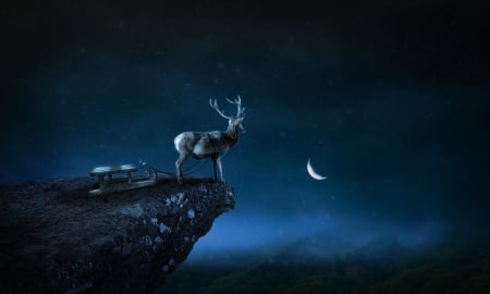 WAITING FOR SANTA - MOON, SLED, SKY, REINDEER, NIGHT, STARS