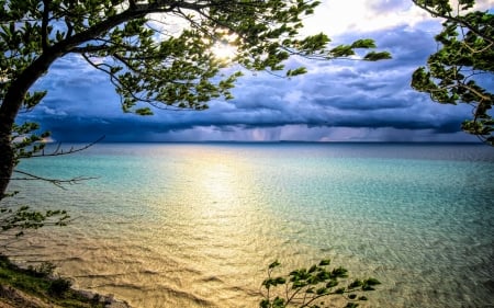 The storm - sky, trees, wind, sea