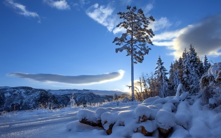 Winter - winter, landscape, clouds, snow