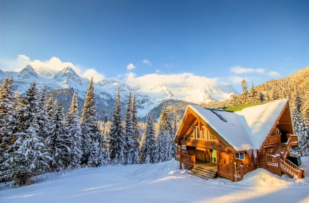 Fernie Island Lake Lodge - trees, snow, british columbia, canada, mountains