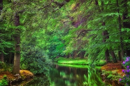 Summer reflection - Trees, Bushes, Flowers, Small River