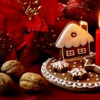 Christmas Gingerbread House Cookies and Nuts