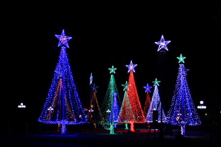 Light Trees - Trees, Lights, Park, Christmas