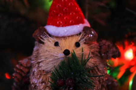 Merry Merry Hedgehog - decoration, christmas, backlit, hedgehog