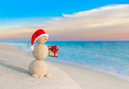 Merry Christmas! - summer, water, beach, craciun, snowman, christmas, hat, santa, sea, vara