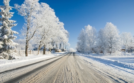 Winter Road - hoarfrost, trees, snow, winter, road