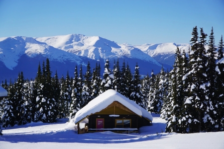 Canadian Rockies in Winter