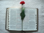 Holy Bible and Flowers