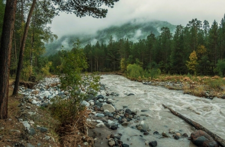 Freash Water - cloud, river, gree, tree