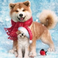 Cute Holiday Dogs