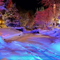 Winter Colorful Christmas