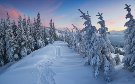 Winter Landscape - path, trees, hills, winter, landscape, snow