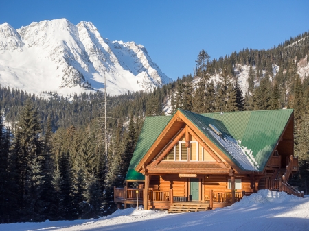 Winter Resort - house, trees, snow, forest, sky