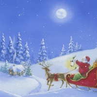 Santas off in the moonlite