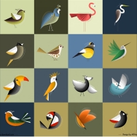 Bird Pattern