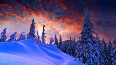 winter sunset - winter, sky, sunset, clouds