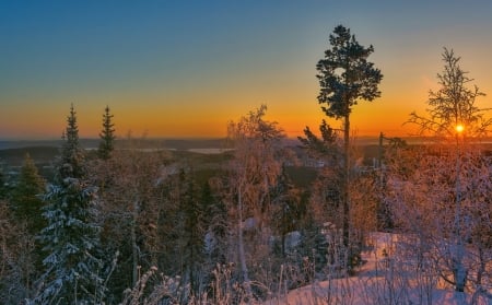 Sunset - nature, tree, sunset, land