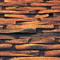 real wall wallpaper
