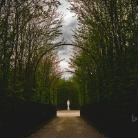 Gardens of Versailles