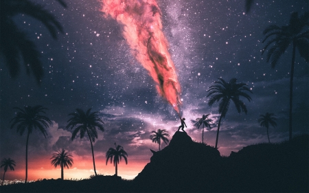 :-) - stars, sky, silhouette, vara, palm tree, aaron soletare, summer, fantasy, black, luminos, orange