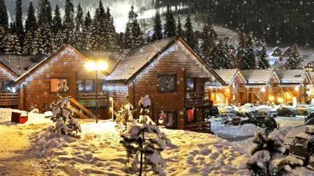 Winter night - houses, trees, lights, snow