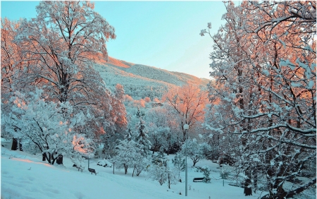 Winter Landscape - sky, benches, hills, trees, light reflections, snow, cabin