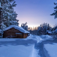 Winter landscape