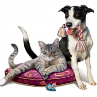 cats-friends-dog-cat-painting-lovely-pet-cushion-kitten-puppy-art-picture-kitty