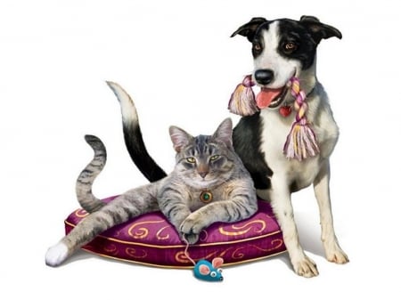 cats-friends-dog-cat-painting-lovely-pet-cushion-kitten-puppy-art-picture-kitty - Freunde, Dog, Cats, Deutschland