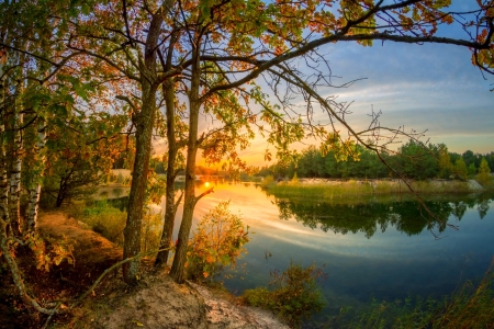 ♥ - trees, reflection, nature, sky