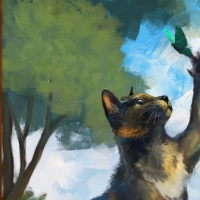 Cat