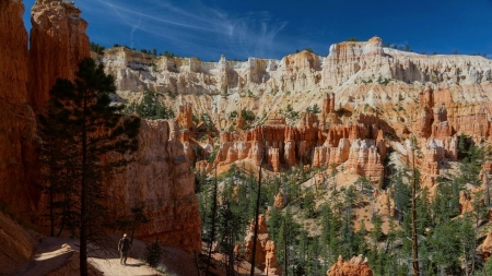 Bryce National Park - park, canyon, utah, red