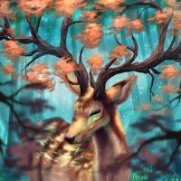 Deer