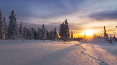 winter in mountain - beauty, nature, sky, snow, sun, winter, mountains