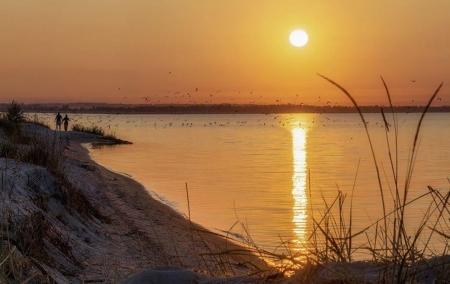 Sunset - nature, beach, sunset, sea