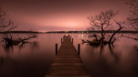 Pink Cityscape Silhouette - trees, water, silhouette, night, pink, darkness, cityscape, pier, peach, lights, land, dusk