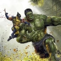 Wolverine Vs Hulk