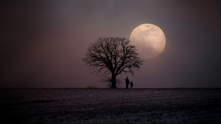 Full Moon - winter, moon, tree, silhouette