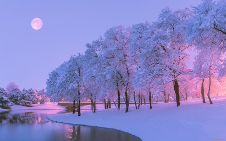 Winter Evening - hoarfrost, moon, trees, evening, water, winter