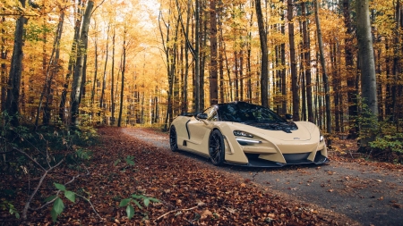 McLaren 720S - fun, cool, car, forest, mclaren, 720s