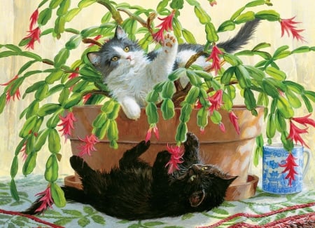 Cactus kittens - cactus, adorable, play, kittens, pet, flowers, cute, christmas