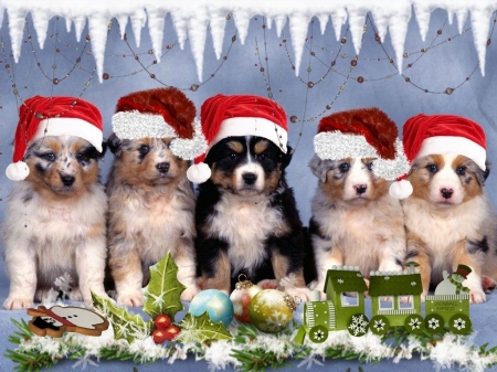 dog-little-puppies-christmas-xmas-dogs-winter-background-photo - spielzeug, deutschland, hund, schnee