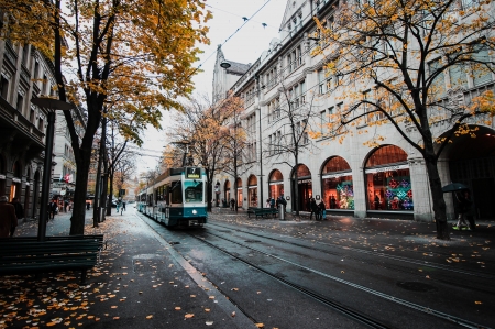 Late Autumn in a city - street, trees, urban, autumn, 4K, city, buildings, tram