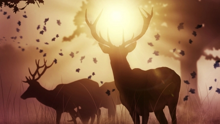 Sunset - cerb, brown, silhouette, horns, eric deavila, fantasy, caprioara, sunset, autumn, deer, leaf, luminos